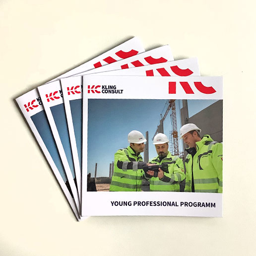 Flyer Young Professional Programm